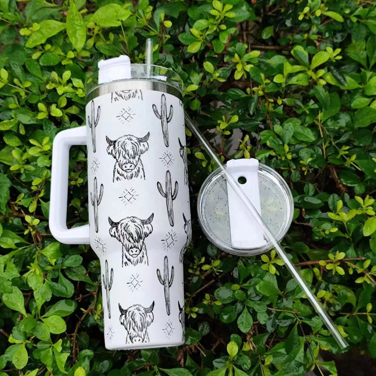 Highland Cow Bottle
